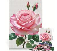 Puzzle de 1000 pièces Rose Rose en Bouton pour Adultes Jeu de réflexion apaisant Cadeau Unique (50x75cm)