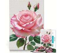 Puzzle de 1000 pièces Rose Rose en Bouton pour Adultes Jeu de réflexion apaisant Cadeau Unique (50x75cm)