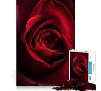 Puzzle de 1000 pièces Rose Rouge en Pleine Floraison pour Adolescents, Jeu de logique Stimulant, Moments en Famille, Bords Nets, Surprise chaleureuse (38x26cm)