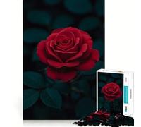 Puzzle de 1000 pièces Rose Rouge Velours Développe la mémoire,ludique et de qualité Professionnelle pour stimuler l'esprit (38x26cm)
