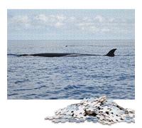 Puzzle de 1000 pièces Six Whale in The Ocean Puzzle carré pour adultes, puzzle en bois Jeux de défi uniques 1000 pièces (75x50 cm)