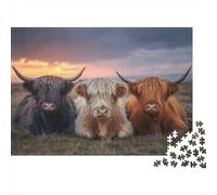 Puzzle de 1000 pièces « Trio de Vaches des Highlands » (Coucher de Soleil) - Jeu éducatif pour Adultes (à partir de 12 Ans) - Décoration intérieure - Défi - Cadeau d'anniversaire - 52 x 38 cm