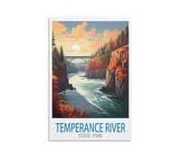 Puzzle de 200 pièces pour Adultes - Parc d'État de Temperance River - Pièces minuscules - Puzzle Stimulant et Difficile pour Noël ou Un Anniversaire - Jeu - 35 x 25 cm