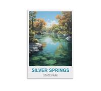 Puzzle de 2000 pièces, Parc d'État de Silver Springs, Puzzle en Papier de 2000 pièces, Jouet éducatif pour Adultes et Enfants, Jeu de détente Familial, 100 x 70 cm