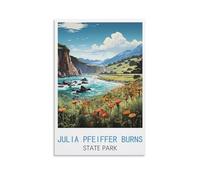 Puzzle de 2000 pièces pour Adultes, Affiches du Parc d'État de Burns (Julia Pfeiffer), Puzzle en Papier adapté aux Adultes, aux Enfants et aux familles, Jeu Anti-Stress, 100 x 70 cm