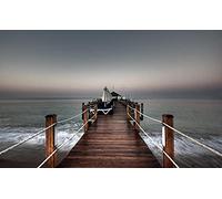 Puzzle de 2000 pièces pour Adultes, Jeu Familial, Jeu de cohésion d'équipe, Cadeau pour Les Amoureux ou Les Amis - Deux Loups Blancs - 70 x 100 cm