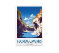 Puzzle de 2000 pièces représentant Les grottes du Parc d'État de Floride : Un Jeu Stimulant et Impossible à réaliser, idéal pour décorer Une Maison ou Une Famille (70 x 100 cm).