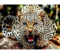 Puzzle de 2000 pièces représentant Un guépard féroce. Puzzle en Papier pour Le Nouvel an, idéal pour Les Adultes et Les Enfants à partir de 10 Ans. Dimensions Une Fois assemblé : 70 x 100 cm.