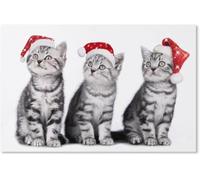 Puzzle de 2000 pièces - Trois Chatons et Un Chapeau de Noël - Jouet pour Enfants - Jeu de détente - 70 x 100 cm