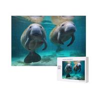 Puzzle de 300 pièces avec boîte de rangement, puzzle en bois imprimé lamantins des Antilles 40 x 28 cm pour adultes et enfants Jeu décoratif amusant en famille