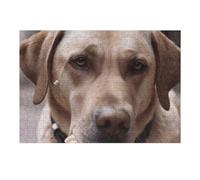 Puzzle de 300 pièces : chien mange des cônes de crème glacée - Puzzle personnalisé en bois pour adultes - Puzzle photo artistique à suspendre au mur pour anniversaire, mariage, Saint-Valentin