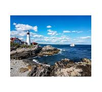 Puzzle de 300 pièces décoration d'intérieur Cadeaux d'anniversaire pour Hommes Femmes et Personnes âgées pièces Solides et Brillantes Jeu Familial Stimulant