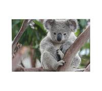 Puzzle de 300 pièces Koala Mignon avec boîte d'emballage pour Adultes - Puzzle en Bois
