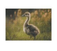 Puzzle de 300 pièces - Petit canard dans le champ - Puzzle personnalisé en bois pour adultes - Puzzle photo artistique à suspendre au mur pour anniversaire, mariage, Saint-Valentin, anniversaire de