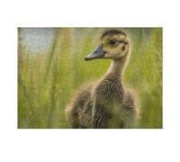 Puzzle de 300 pièces - Petit canard dans l'herbe - Puzzle personnalisé en bois pour adultes - Puzzle photo artistique à suspendre au mur - Décoration pour anniversaire, mariage, Saint-Valentin