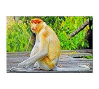 Puzzle de 300 pièces pour Adultes, Singe nasique de Malaisie, Sandakan, Sabah, Souvenir de Voyage, 38 x 26 cm