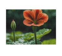 Puzzle de 300 pièces qui grandissent lentement - Puzzle personnalisé en bois pour adultes - Puzzle photo artistique à suspendre au mur - Décoration pour anniversaire, mariage, Saint-Valentin