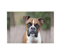 Puzzle de 300 pièces représentant Un Boxer (2 Puzzles) pour Adultes et Seniors - Puzzle en Bois