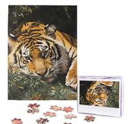 Puzzle de 500 pièces - Image en bois personnalisée à partir de photos - Puzzle personnalisé à partir d'images Tigre au repos - Puzzle pour adultes, famille, anniversaire, Noël, Saint-Valentin