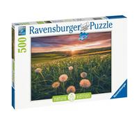 Puzzle de 500 pièces - Pissenlits au crépuscule pour un moment de détente