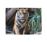 Puzzle de 500 pièces pour adultes - Puzzles stimulants pour nuits de jeu - Puzzle en bois personnalisé pour photo de famille, taille finie : 51,8 x 38,1 cm