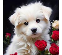 Puzzle de 500 Pièces pour Adultes Rose Sauvage,45x45cm Puzzle Impossible 500 Pieces,Jeu d'Adresse pour Toute la Famille,Décoration d'Intérieur Colorée