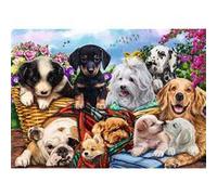 Puzzle 500 Piéces Équipe De Chiens