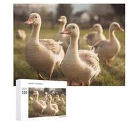 Puzzle de 520 pièces pour adultes - Oies cool marchant sur l'herbe - Grand puzzle de décompression - Loisirs - Divertissement - Puzzle en bois - Relaxation - Jouets sensoriels - Décoration de chambre