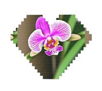 Puzzle de 82 pièces en forme de cœur en forme de brique de construction - Bloc d'art 3D - Décoration de bureau - Imprimé orchidée