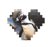 Puzzle de briques de construction de pingouin africain en forme de cœur, puzzle photo personnalisé pour adultes Micro blocs de construction 3D pour décoration d'intérieur