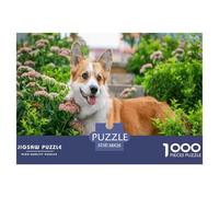 Puzzle de Corgi Gallois de Pembroke, 1000 pièces - Puzzle Difficile, Un Corgi se Tient Parmi des Fleurs Roses. Amusant pour Adultes et Enfants, décoration Murale, 38x26 cm/1000 pièces