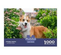 Puzzle de Corgi Gallois de Pembroke pour Adultes, 1000 pièces - Un Corgi se Tient Parmi des Fleurs Roses et sourit. pour Adultes et Enfants, éducatif, 70x50 cm/1000 pièces