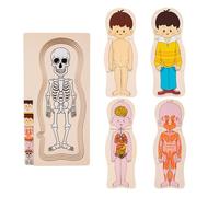 Puzzle de corps humain pour enfants - Modèle interactif d'anatomie en bois, puzzle éducatif pour apprendre les parties du corps | Puzzle structurel multicouche conçu pour les enfants et