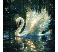 Puzzle de Cygne étoilé pour Adultes,1000 pièces,65x65 cm Puzzle de Bricolage Artistique pour Décoration de la Maison, Jeu éducatif Challenge Toy Puzzles pour Adultes