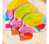 Puzzle de parties du corps, Puzzle du corps humain, Puzzle du corps humain pour enfants 3-5 | Apprenez des jeux créatifs réalistes réalistes pour les études scientifiques médico-légales en laboratoire