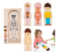 Puzzle de Structure du Corps Humain,Puzzles en Bois du Corps Humain