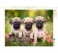 Puzzle · Défilé de Mops dans Une mer de Fleurs