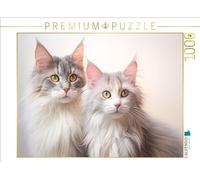 Puzzle · des Chats au Style Pastel | Un regard implorant · 1000 pièces · Format assemblé 64 × 48 cm · CALVENDO Puzzle