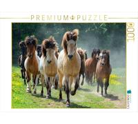 Puzzle · Des chevaux islandais en liberté | 1000 pièces · Format assemblé 64 × 48 cm · CALVENDO Puzzle