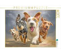 Puzzle · des Chiens Pleins de Charme - Illustrations | Une meute de chiens débordante de joie de vivre · 1000 pièces · Format assemblé 64 × 48 cm · CALVENDO Puzzle
