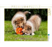 Puzzle · des Chiots Colley en Train de Jouer | 1000 pièces · Format assemblé 64 × 48 cm · CALVENDO Puzzle