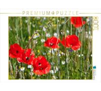 Puzzle · des Coquelicots au Bord du Champ | 1000 pièces · Format assemblé 64 × 48 cm · CALVENDO Puzzle