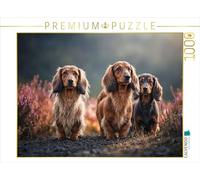 Puzzle · des Jambes Courtes. des Yeux Bruns. pour Tomber Amoureux | 1000 pièces · Format assemblé 64 × 48 cm · CALVENDO Puzzle