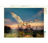 Puzzle · des Moments de Calme, comme Ceux Que vivent Les Chouettes | Les chouettes dans les forêts allemandes · 1000 pièces · Format assemblé 64 × 48 cm · CALVENDO Puzzle