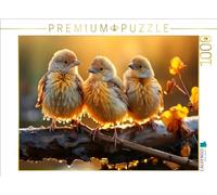 Puzzle · des Oiseaux, Un Soleil Magnifique, n'est-ce Pas | 1000 pièces · Format assemblé 64 × 48 cm · CALVENDO Puzzle