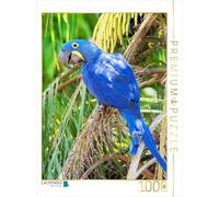 Puzzle · des perroquets colorés: l'ara hyacinthe | Ara hyacinthe (Anodorhynchus hyacinthinus), Brésil, Paraguay · 1000 pièces · Format assemblé 64 × 48 cm · CALVENDO Puzzle
