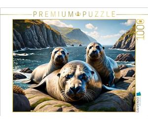 Puzzle · des phoques se prélassent sur Les rochers | Des phoques coquins · 1000 pièces · Format assemblé 64 × 48 cm · CALVENDO Puzzle