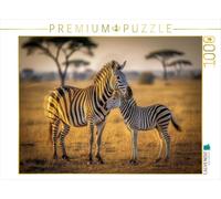 Puzzle · des Rayures au Fil de la journée | Les zèbres dans la savane africaine · 1000 pièces · Format assemblé 64 × 48 cm · CALVENDO Puzzle