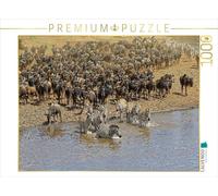 Puzzle · des zèbres... La Faune Sauvage au Bord de la rivière Mara | Au bord de la rivière Mara: traversée des gnous et des zèbres · 1000 pièces · Format assemblé 64 × 48 cm · CALVENDO Puzzle