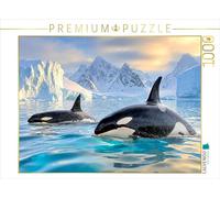 Puzzle · Deux Qui explorent Le Monde